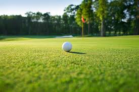 hole ball flag